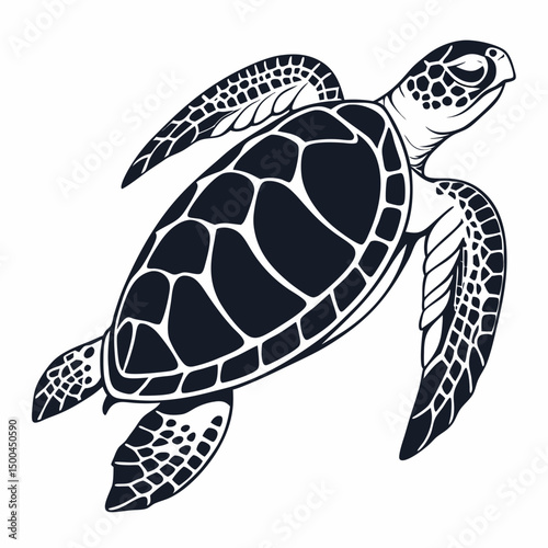 sea turtle vector illustration