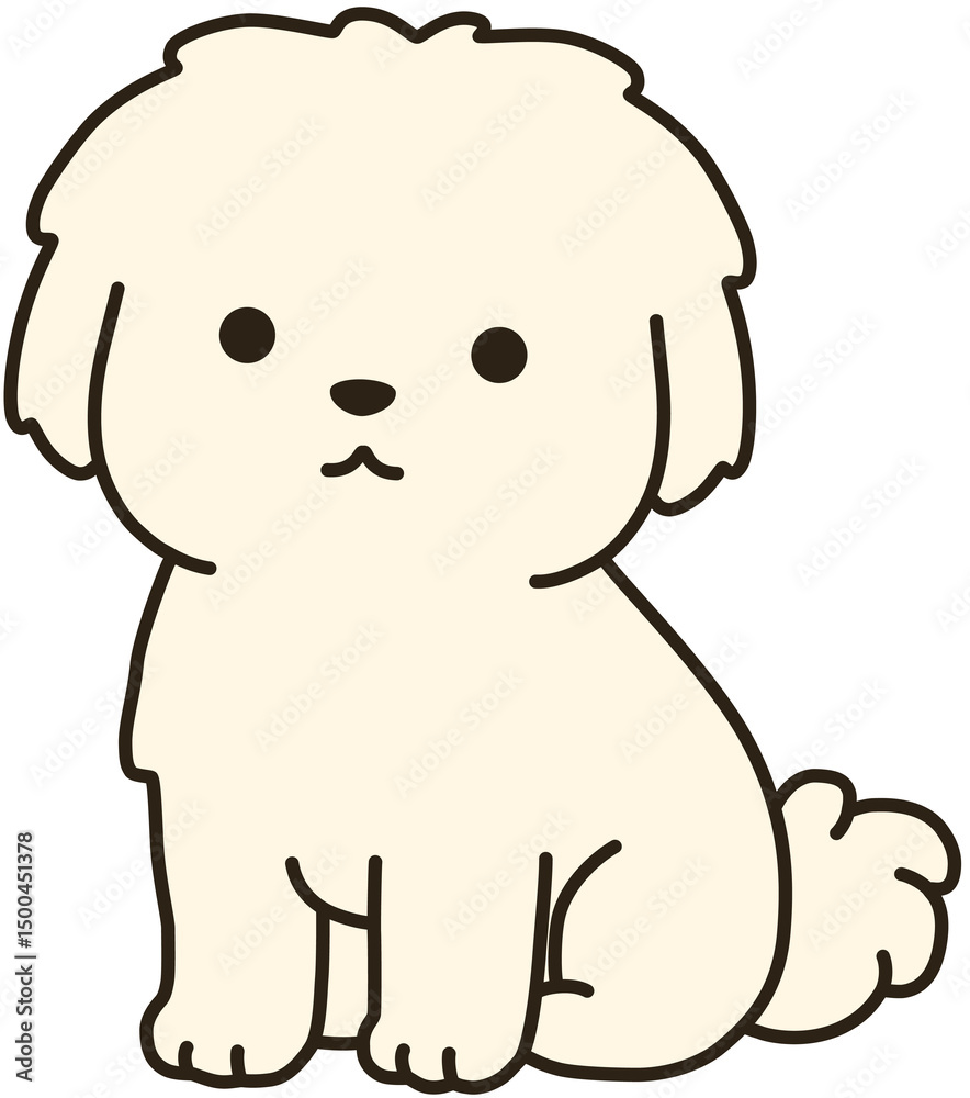 Fototapeta premium Maltese