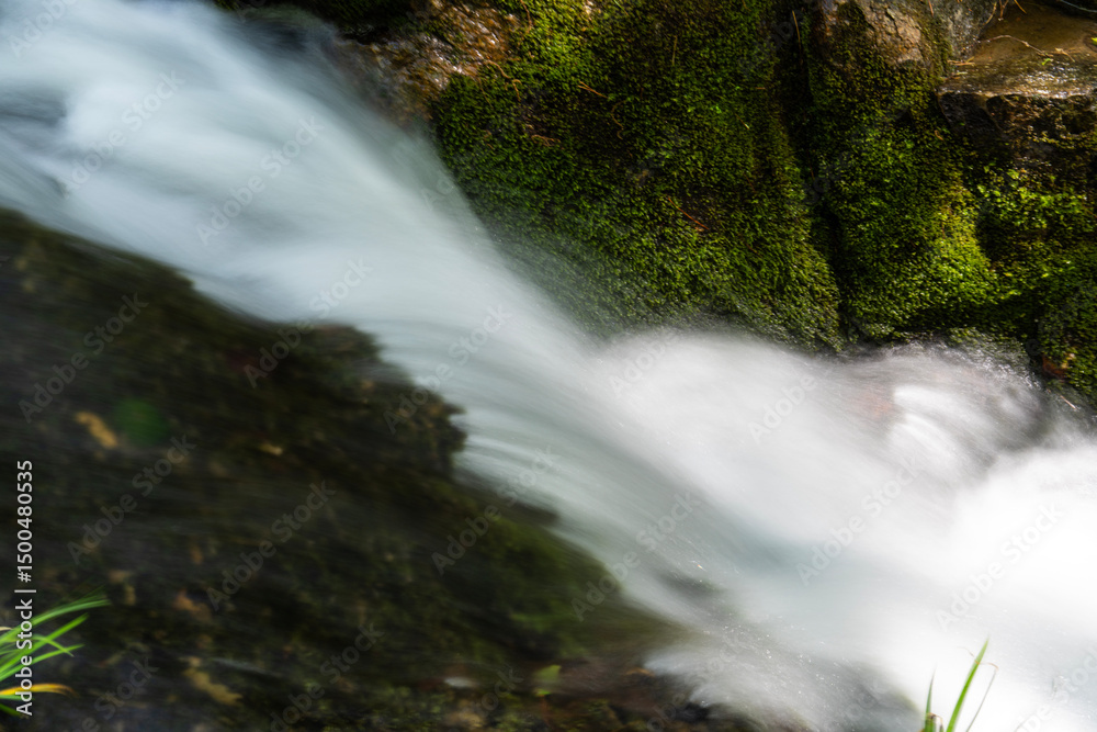 Obraz premium flowing stream in the mountain valley