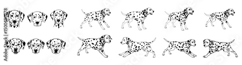 Dalmatian dog vector outline art of running, barking, faces and furious faces