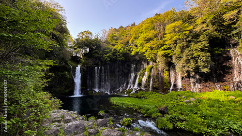 Shiraito Falls with Mount Fuji photo