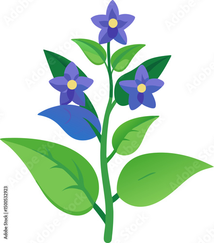 Enchanter’s Nightshade  flowers vector icon white background 