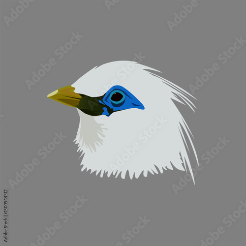 Beautifull Balinese Starling bird head. photo