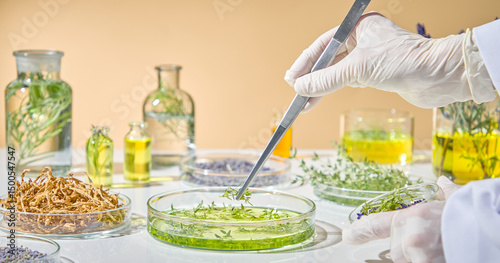 Gloved scientist handling pipette to add natural extract into a transparent petri dish for organic skincare testing. Close-up of experimental research with herbs