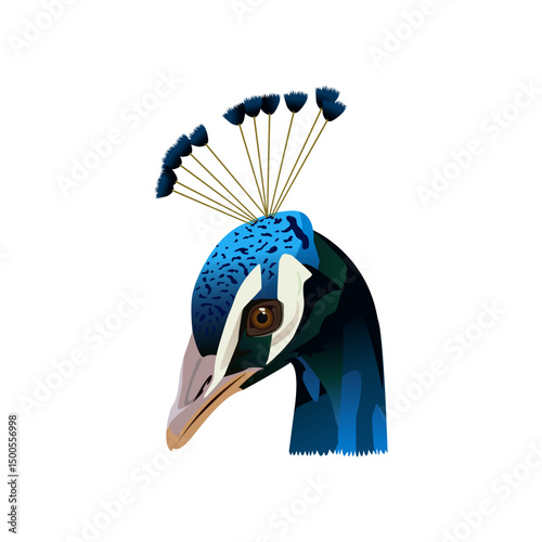 Beautiful Peacock bird head vector