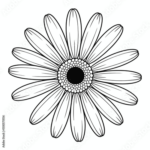 Simple Daisy Flower Line Art Illustration for Coloring and Design Projects