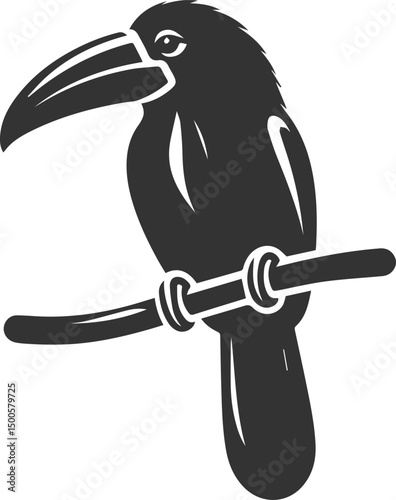 Vector bird toucan black drawing silhouette