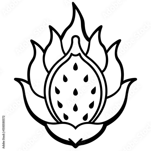 dragon fruit vector illustration