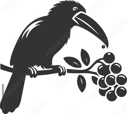 Vector bird toucan black drawing silhouette
