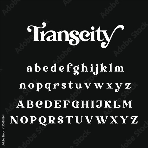 Transcity Serif Font - Elegant and Unique Typeface, Branding and Headline Typeface