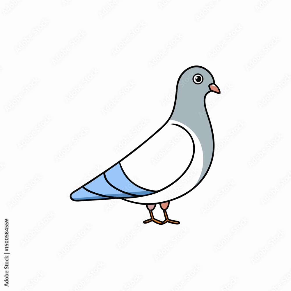 Fototapeta premium white pigeon isolated on white background