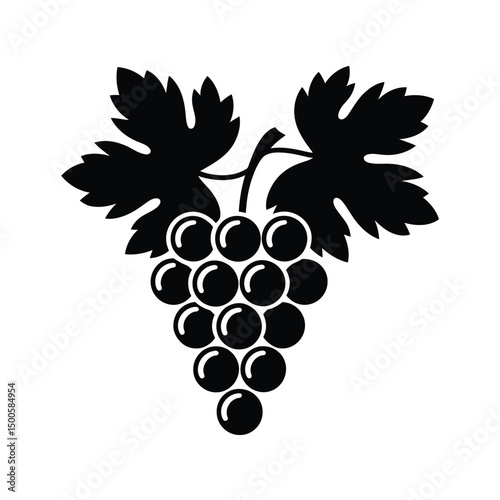 Black and White Grape Bunch with Leaves Vector Illustration Design
