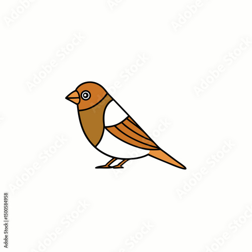 robin on a branch