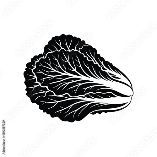 Black and white vector illustration of a Chinese cabbage vegetable
