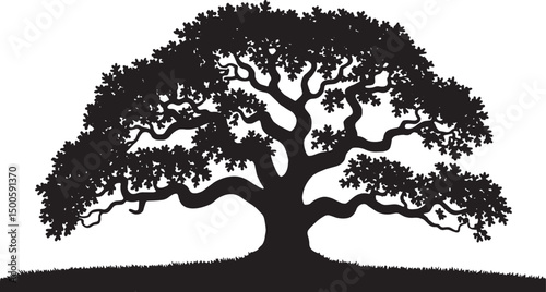 Large tree silhouette with detailed branches and thick foliage representing nature growth strength environment and peaceful outdoor natural scene