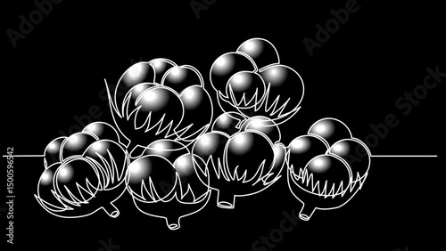 Fluffy Strokes: Cotton Balls Plant Drawn with a Single Line