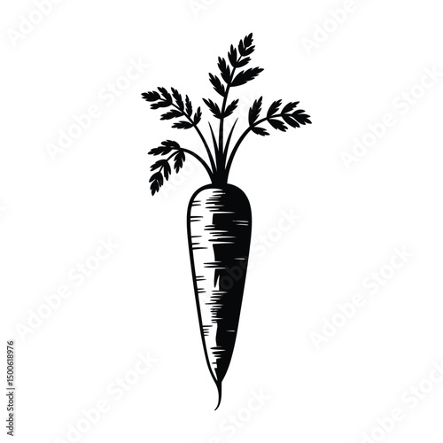Single Black and White Carrot Vegetable Illustration