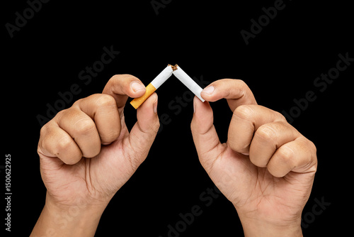 Human hand breaks a cigarette, rolled tobacco in paper with a filter tube, with a black background. Concept of no or quit smoking, a bad habit, and unhealthy