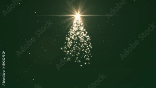 christmas tree with stars
