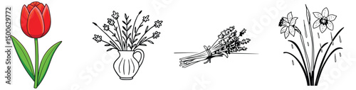 Assorted floral illustrations featuring red tulip wildflowers bouquet of lavender and daffodils line art
