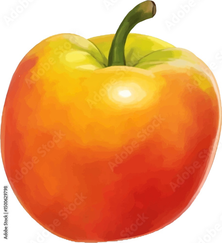 vector image of fresh mango on white background