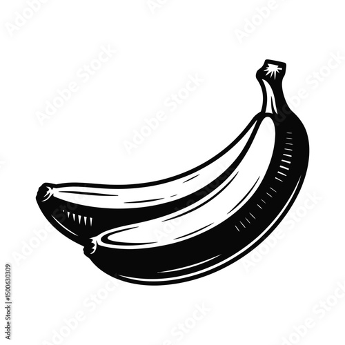 Two Black and White Bananas Vintage Illustration