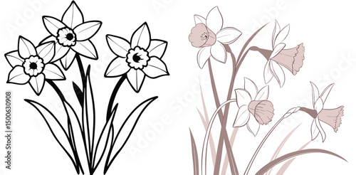 Daffodils flower illustration with spring floral design elements in monochrome and taupe hues decorative background