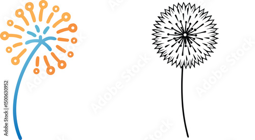Dandelion illustration two styles decorative floral elements line art spring flower isolated vector design