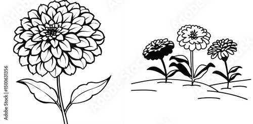 Elegant and white dahlia flower outline vector illustration with additional floral accents