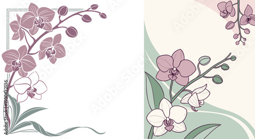 Elegant orchid flower illustration with pastel palette vector design floral elements for creative projects