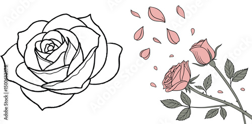 Elegant roses vector art with falling petals and delicate outlines floral design element for creative projects
