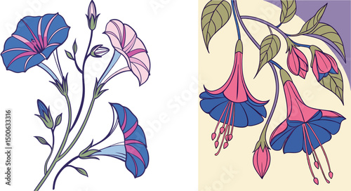 Floral vector illustration featuring fuchsia and morning glory flowers on contrasting backgrounds decorative floral design