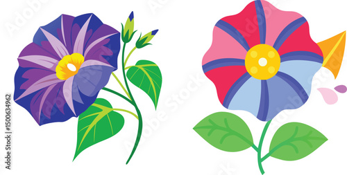 Two colorful flowers morning glory and fantasy blossom with green leaves on a white background