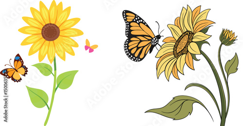 Vibrant sunflower blossom with monarch butterflies in a colorful vector illustration for summer and spring designs