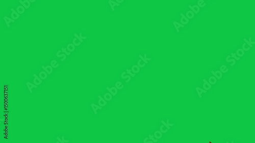 realistic golden confetti animation on green screen background
