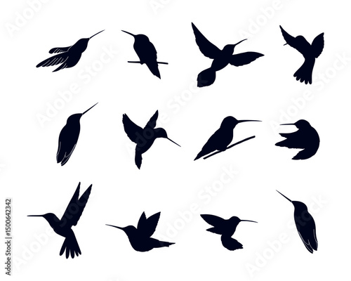 Humming bird Silhouette vector illustration