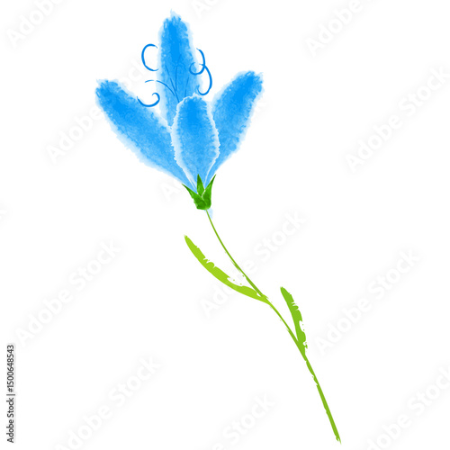 blue iris flower