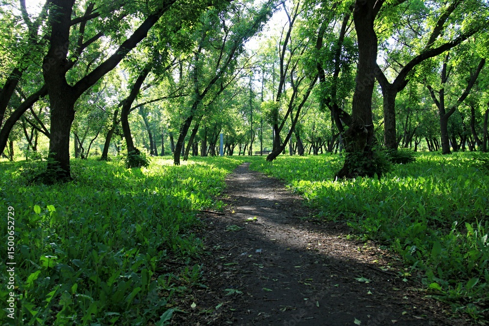 path in the park path in the park