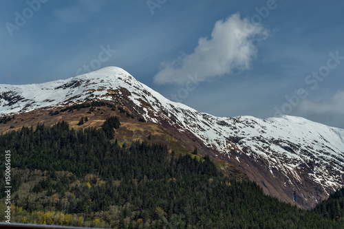Snow On Mountain




