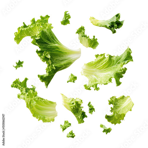 Scattered lettuce leaves and pieces floating in the air against a plain black isolated background view