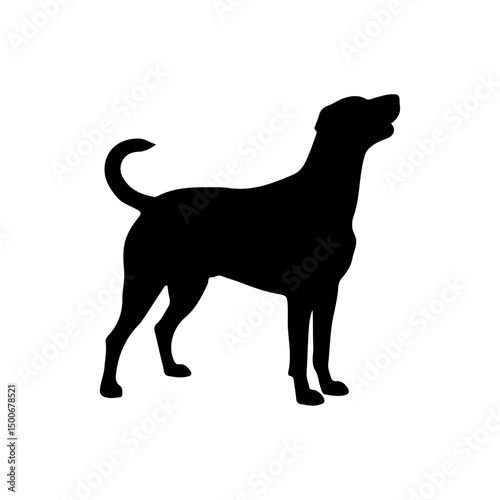 Dog breed black silhouette vector on isolated with white background