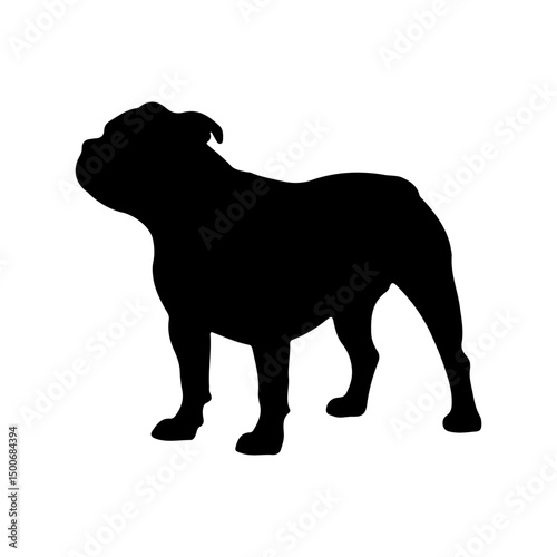 Bulldog black silhouette vector 