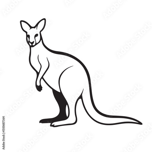 kangaroo vector illustration