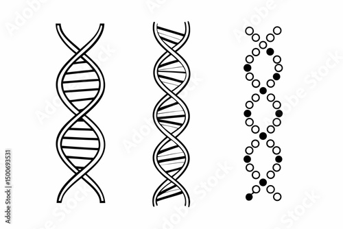 dna strand on white background