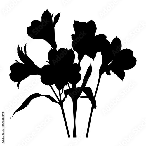  Alstroemeria flower black silhouette vector