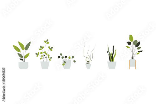plant in a pot nature garden decoration houseplant green tropical leaf flower. vector collection vegetation foliage leaves botanical design potted interior home. isolated natural botany decor.