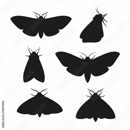 Moth insect silhouette collection on white backdrop