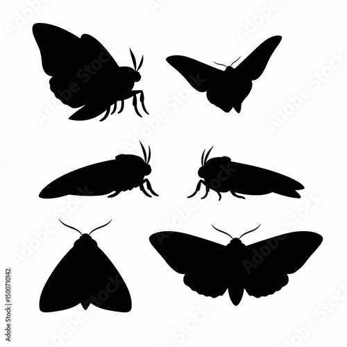 Moth silhouette insect collection