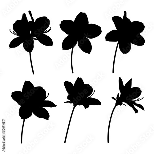 Azalea flower black silhouette collection