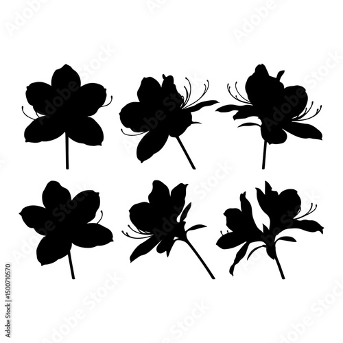 Set of Azalea flower black silhouette icon design